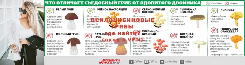 Псилоцибиновые грибы мицелий  Кыштым 